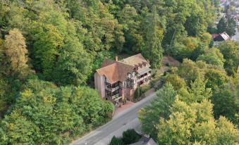 Hotel Luise