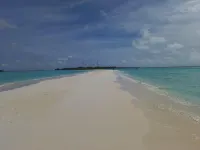 Fins Dive and Leisure Hotel - Beach