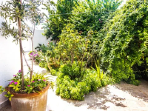 馬赫迪耶廣場公寓酒店 鄰近Mahdia Beach的酒店