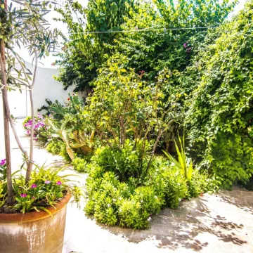 Mahdia Place Apartments