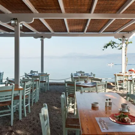 Bellevalia Hydra - Formerly Four Seasons Hydra