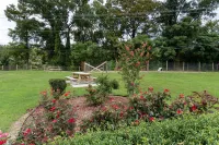 Red Carpet Inn Kinston Hotels in Kinston