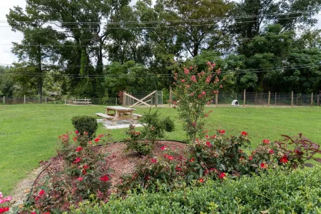 Red Carpet Inn Kinston