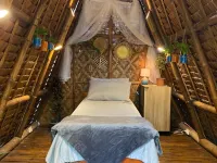 Dive Camp Hotels in Dauin