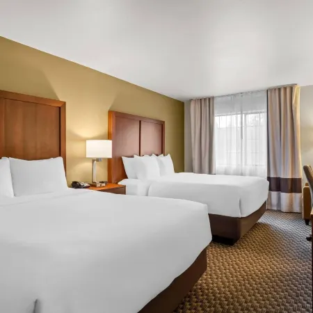Comfort Inn & Suites Midtown
