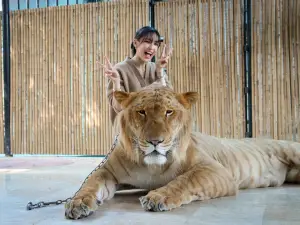 大城獅子王動物園