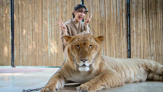 Sriayuthaya Lion Park