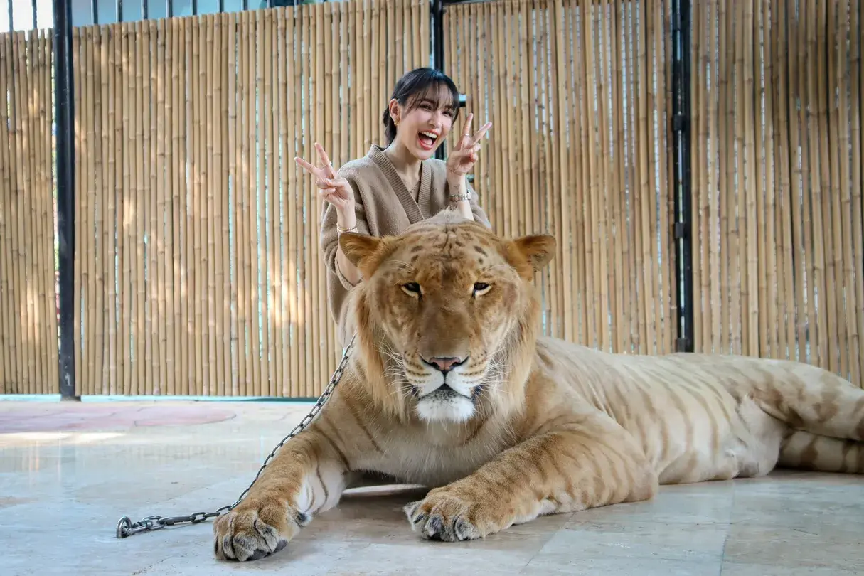 1_ศรีอยุธยา ไลอ้อน ปาร์ค