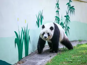 溧陽の人気おすすめ観光スポット