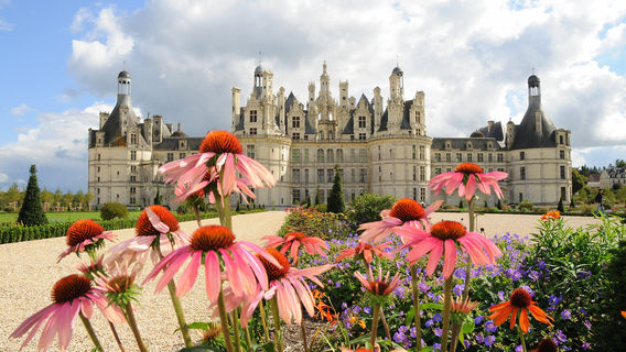 Chambord