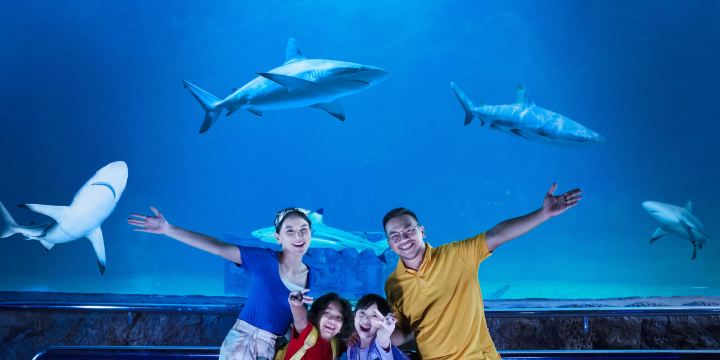 Sea World Ancol