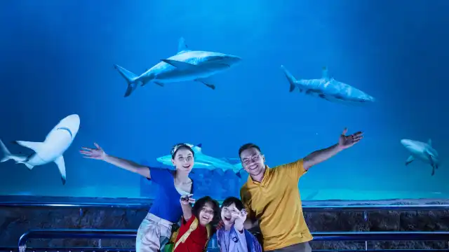 Sea World Ancol