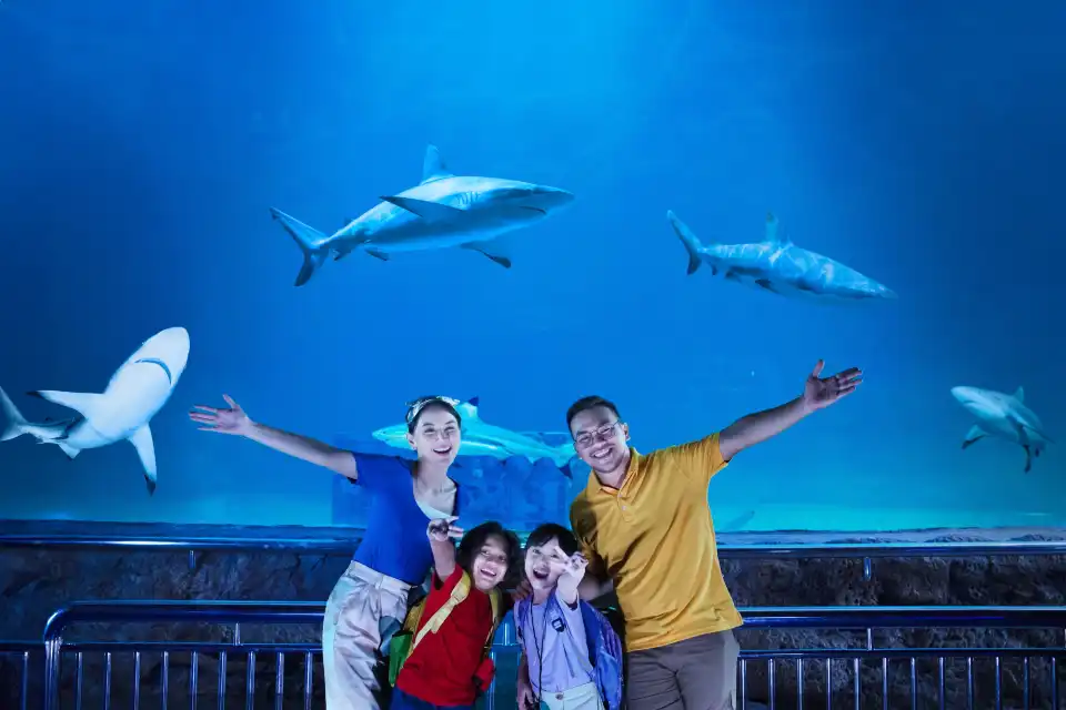 1_Sea World Ancol