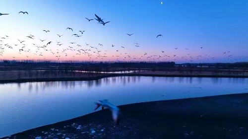 溪溪湖濕地公園