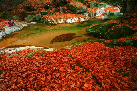 Eighteen Moon Lake Scenic Area