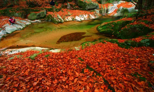 Eighteen Moon Lake Scenic Area
