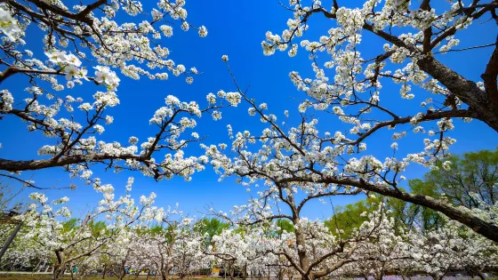 鼎翔生態旅遊度假區