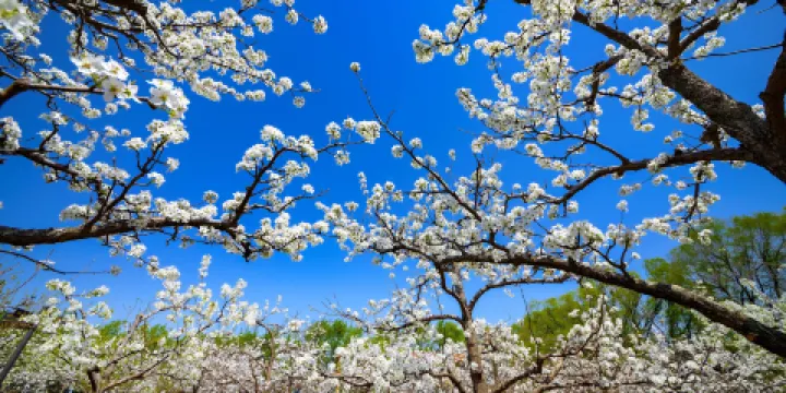 鼎翔生態旅遊度假區