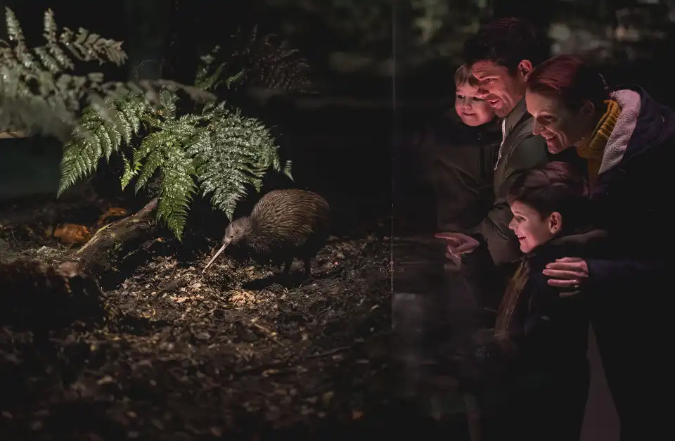 5_Kiwi Park Queenstown