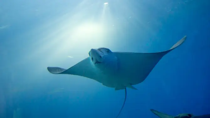 5_澎湖水族館