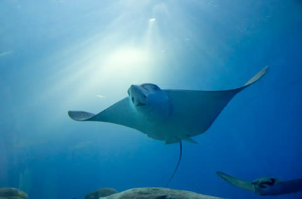 5_澎湖水族館