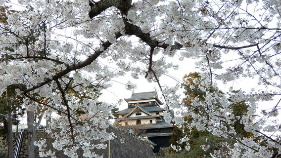 Matsue Castle