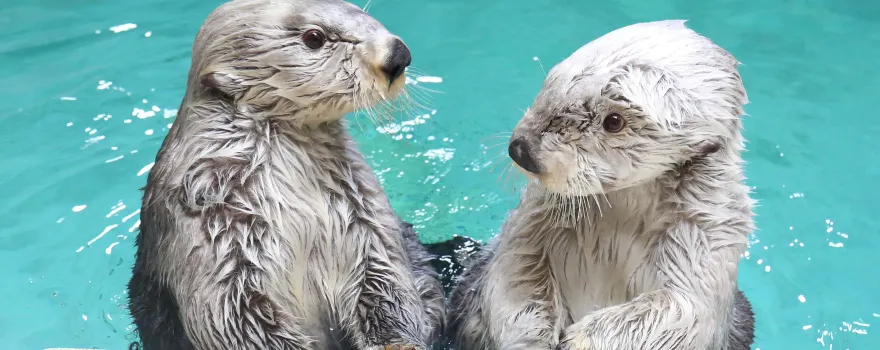 鳥羽水族館