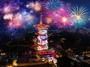 Nianhua Wan