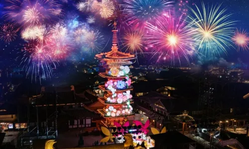 Nianhua Wan