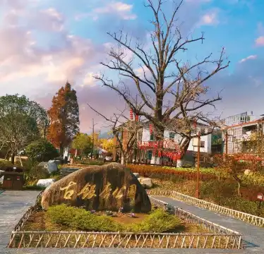 鄰近十里古銀杏長廊的酒店