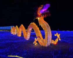 Shanghai Fanghe Valley Lantern Festival
