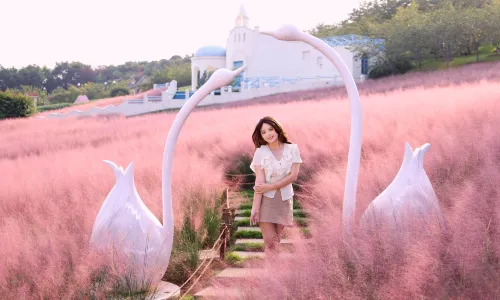 Manhua Sea of Flowers