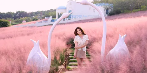 漫花莊園
