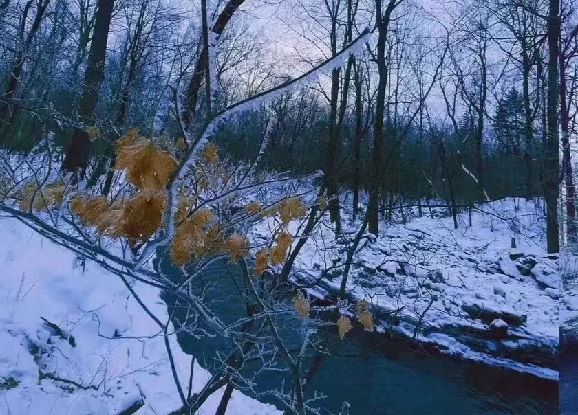 3_Changbai Mountain Secret Realm Rime Drifting Scenic Area