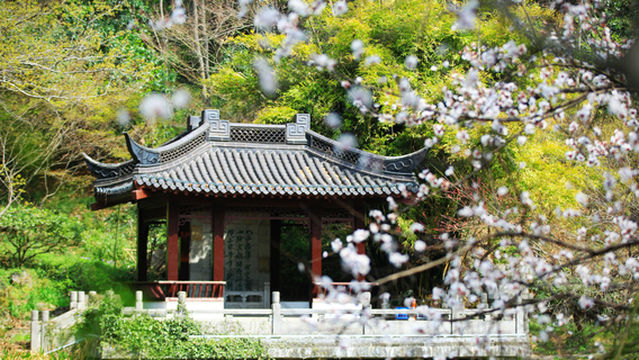 Qixia Mountain Scenic Area