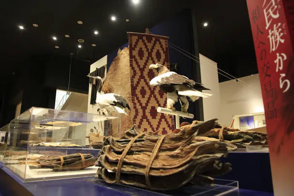 3_北海道博物館