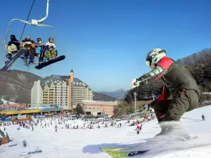 京畿道的熱門滑雪場