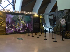 National Maritime Museum of China