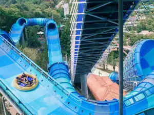 Caribbean Bay