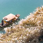 西溪國家濕地公園