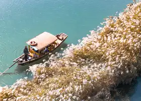 西溪國家濕地公園