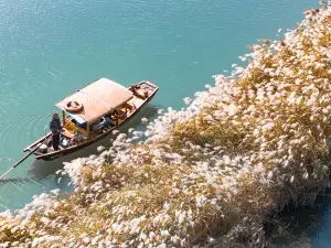 시시 국가습지공원(서계 습지공원)