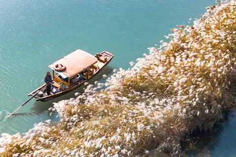 Xixi National Wetland Park