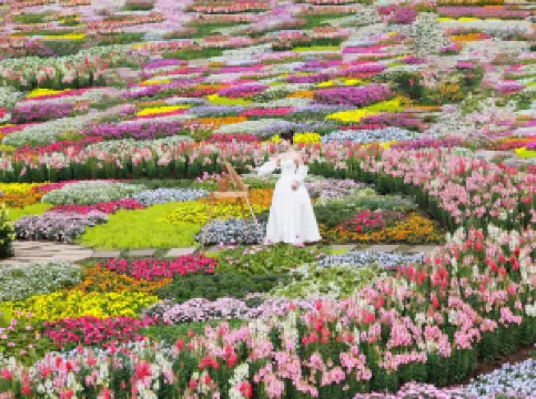 Manhua Sea of Flowers