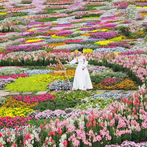 漫花莊園