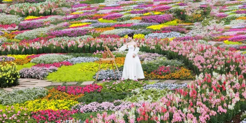漫花莊園