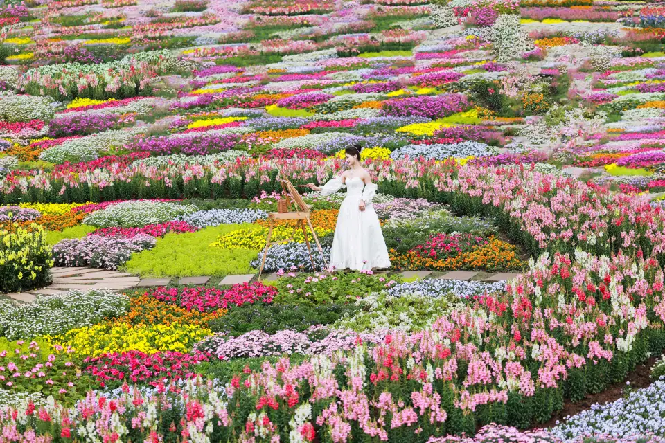 1_Manhua Sea of Flowers