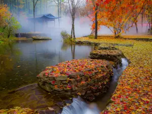 Laobiangou Scenic Area