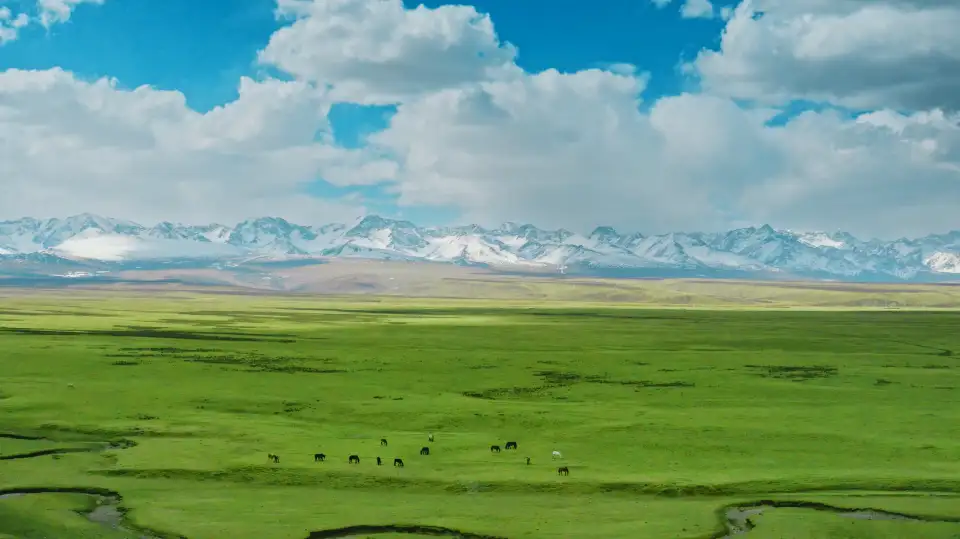 2_Bayanbulak