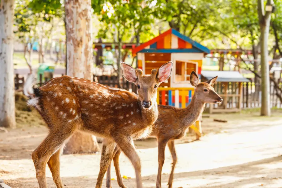 Yijiangnan Resort